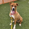 *BOWSER - Photo 1