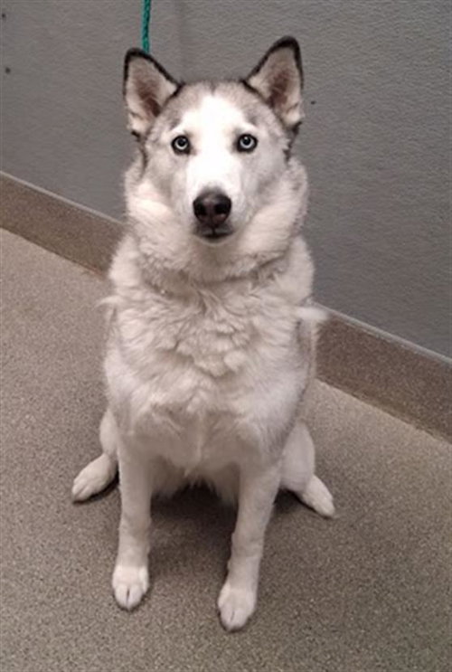 ZERO