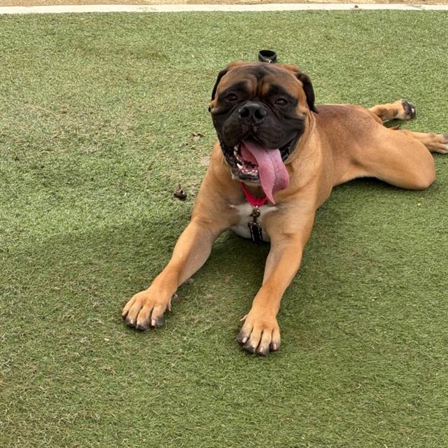 Zues