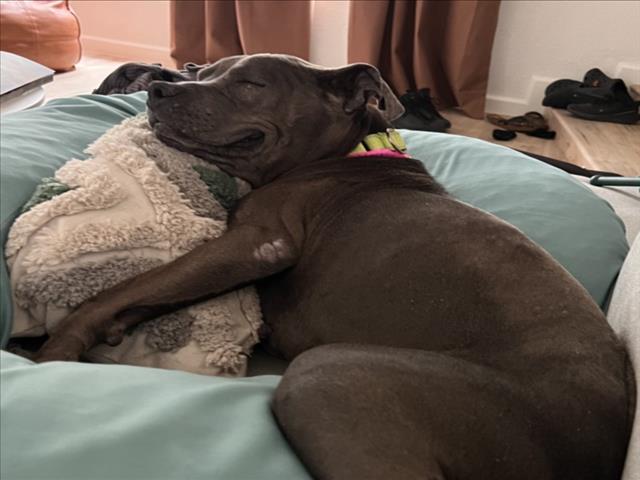 *WIGGLY GIRL