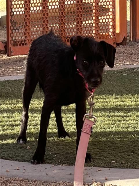 LUNA