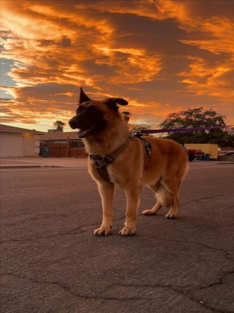 Thor