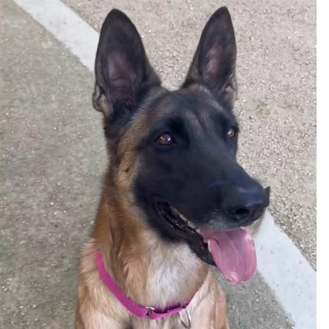 Bella