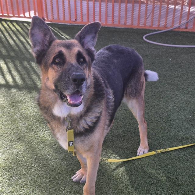 Rocky