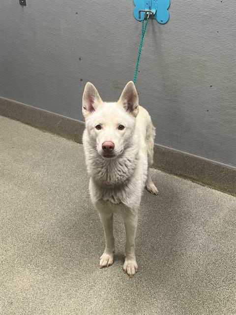 Chloe