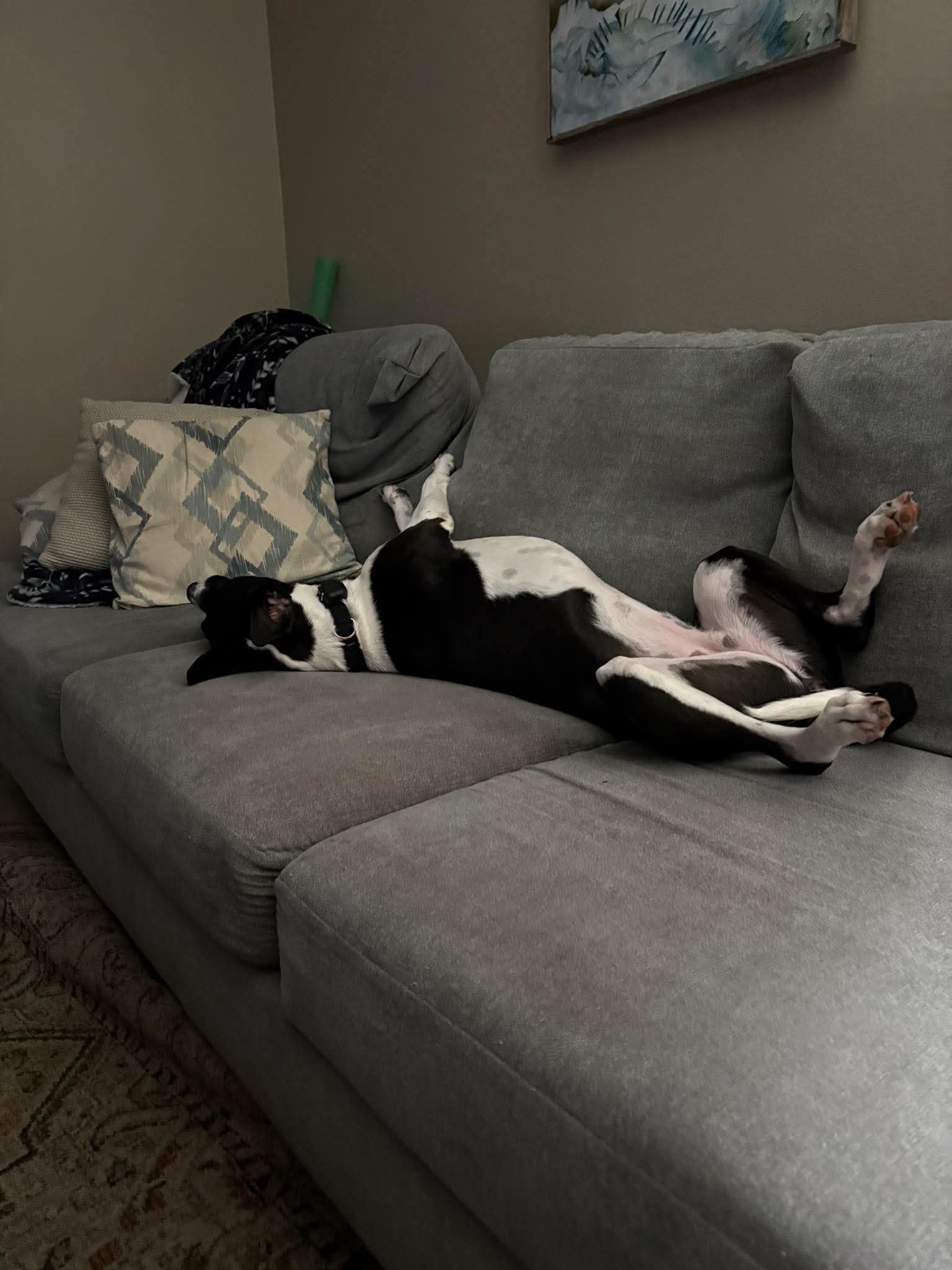 Lucy, photo 3
