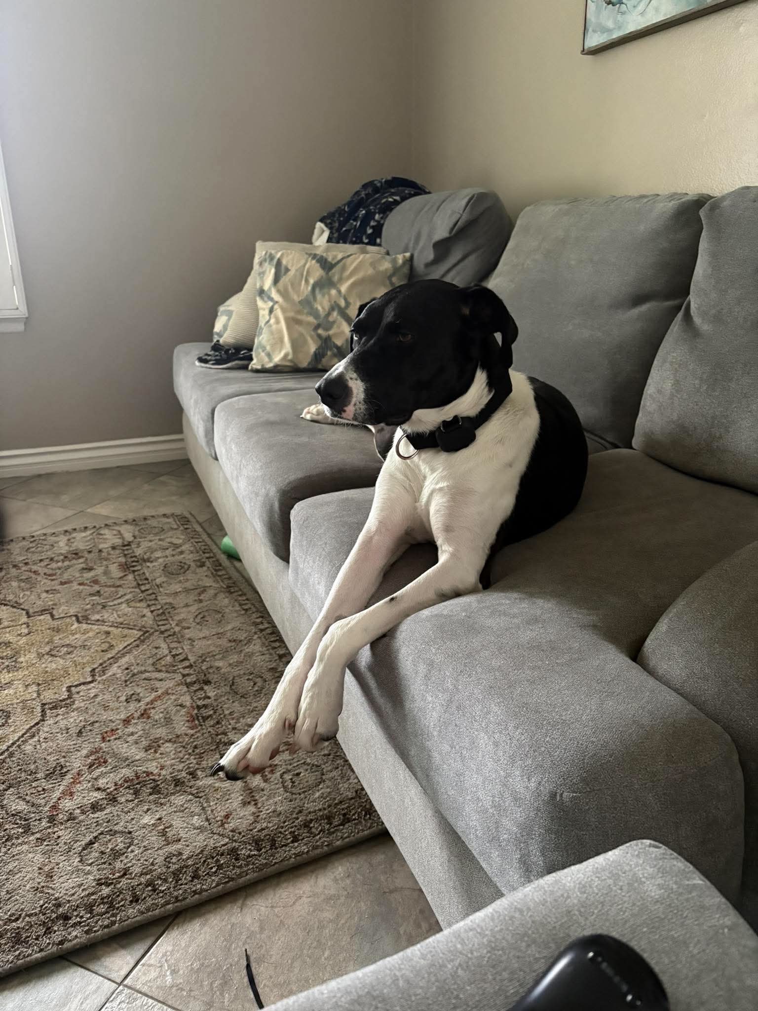 Lucy, photo 5