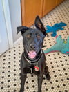 Libby - Photo 7