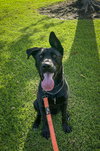 Libby - Photo 2