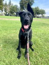 Libby - Photo 8
