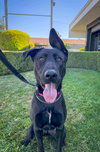 Libby - Photo 1