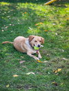 Connor - Photo 3