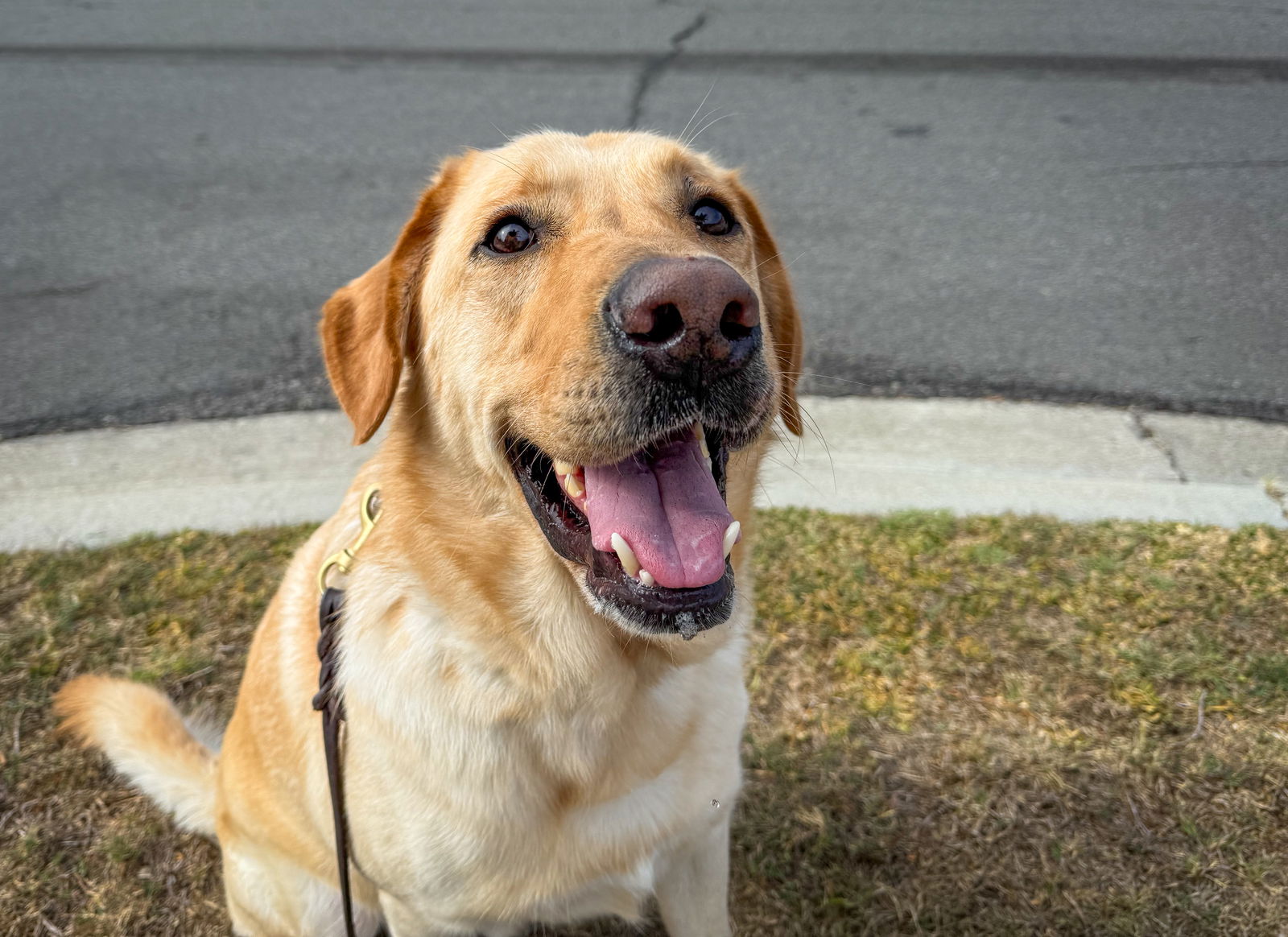 photo of Sergeant