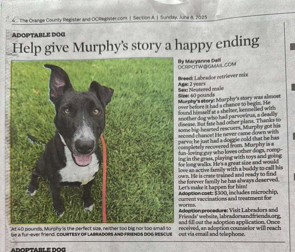 Murphy