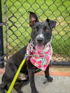 Murphy - Photo 4
