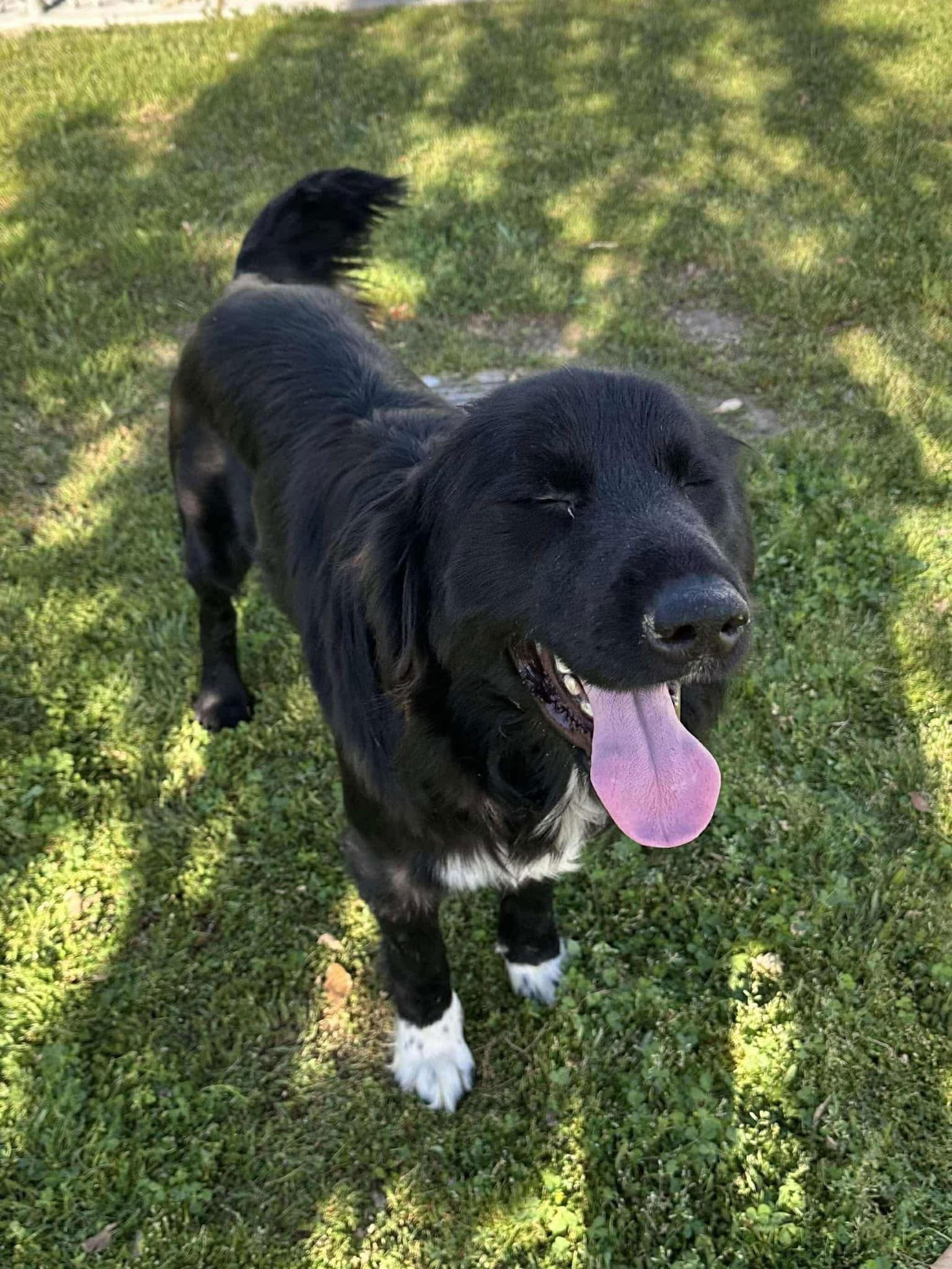 photo of Flynn