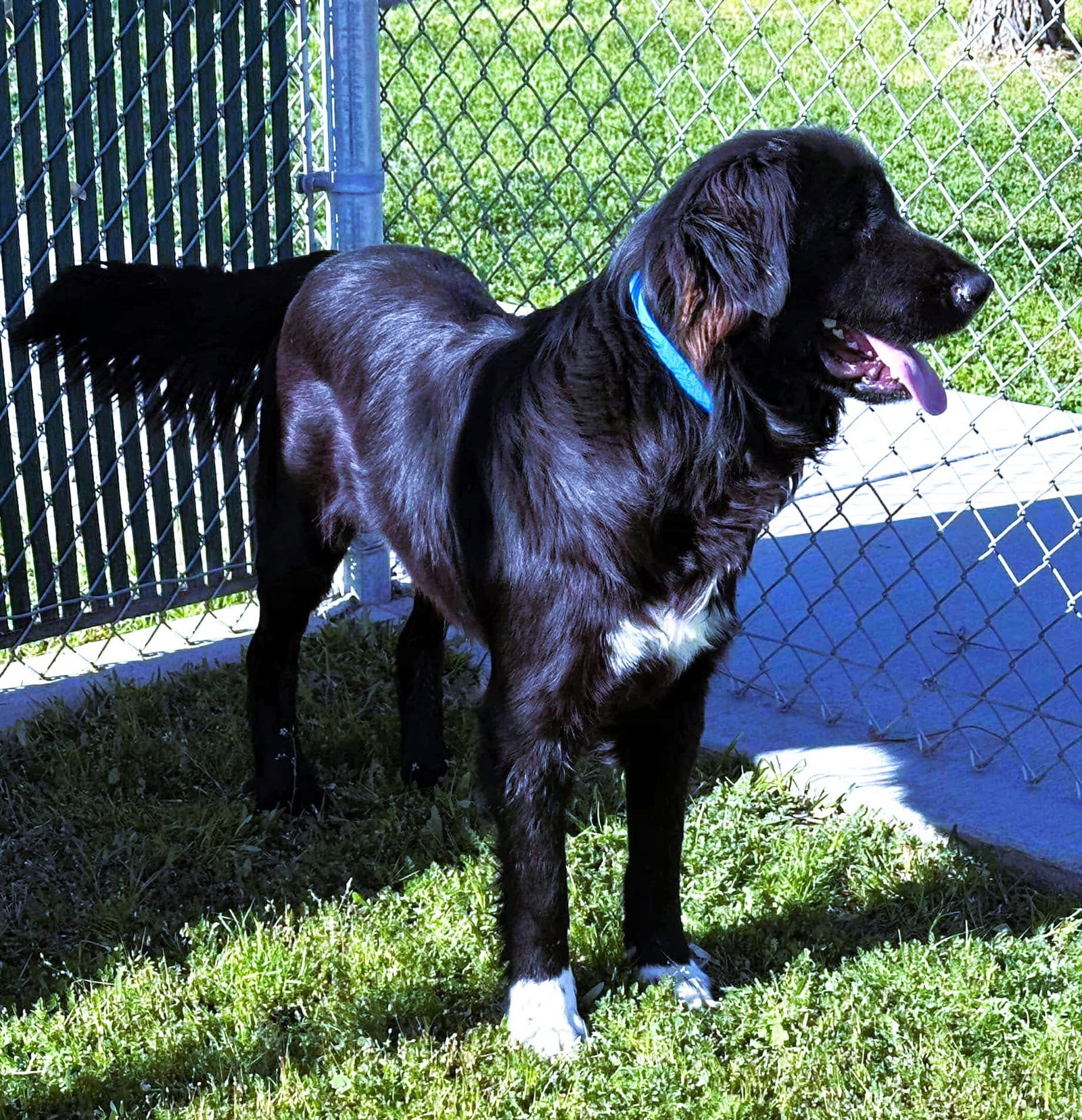 photo of Flynn