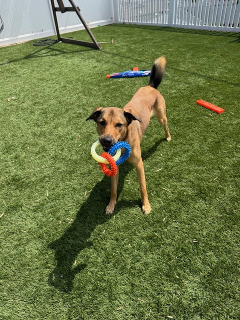 Maggie photo 2