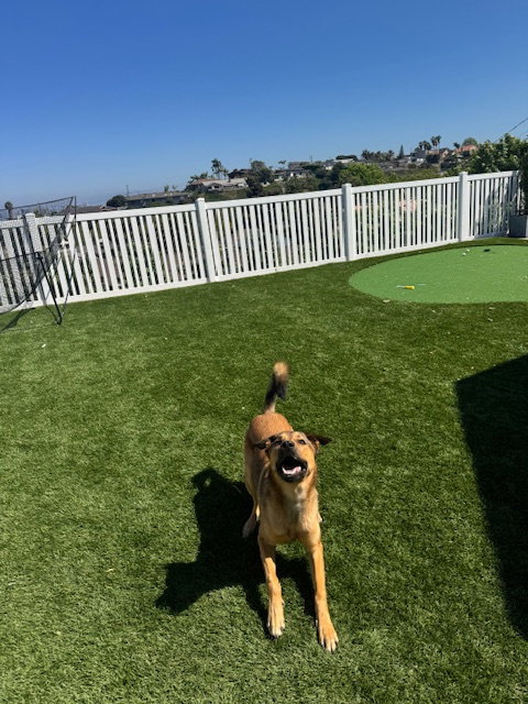 Maggie photo 3