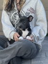 Dori's Puppy Dolly
