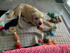 Franklin - Photo 6