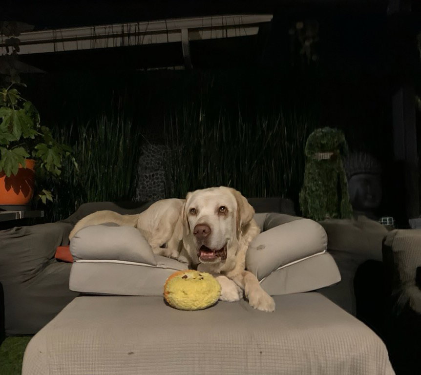 Franklin Image