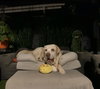Franklin - Photo 1
