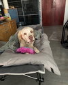 Franklin - Photo 3