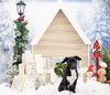 Baxter - Photo 7