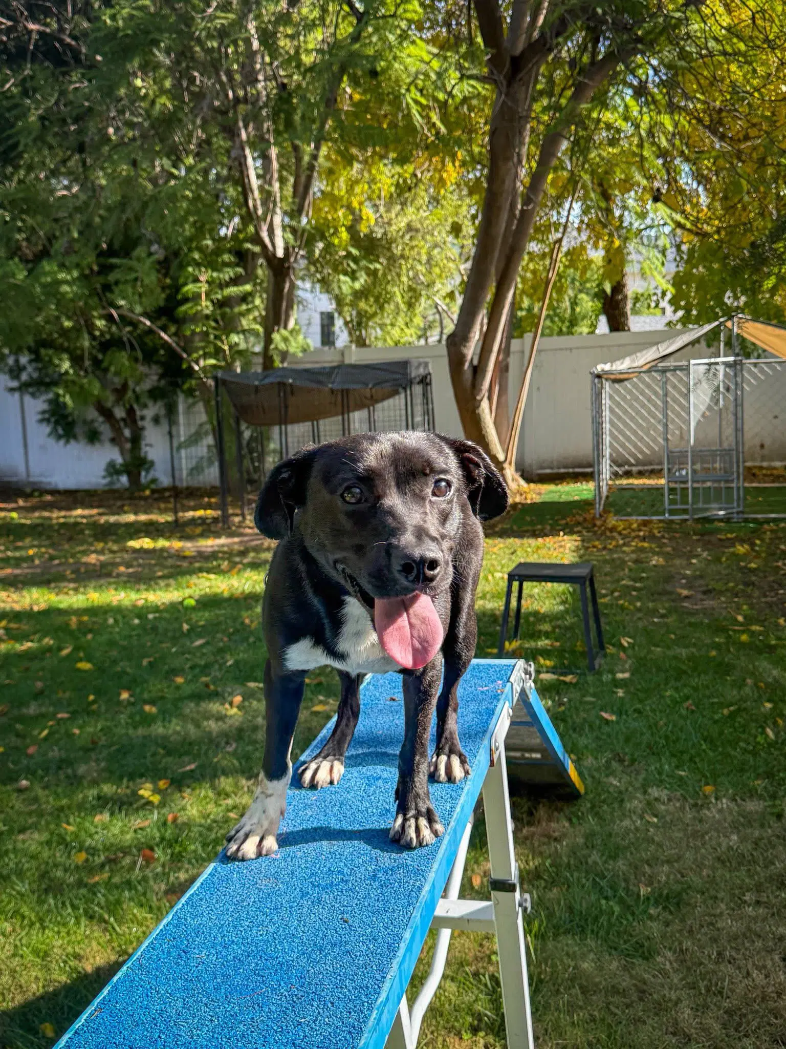 Baxter image 3