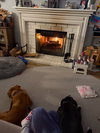 Lucky - Photo 5