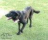 Willow 2 - Photo 1