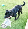 Willow 2 - Photo 3