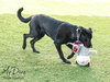 Willow 2 - Photo 4