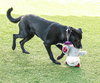 Willow 2 - Photo 3