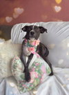 Honey Bee - Photo 8