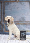 Cletus aka Becker - Photo 1
