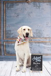 Cletus aka Becker - Photo 3