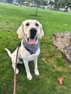 Cletus aka Becker - Photo 4