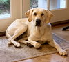 Cletus aka Becker - Photo 5
