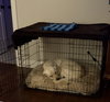 Cletus aka Becker - Photo 6