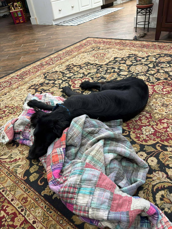 Max