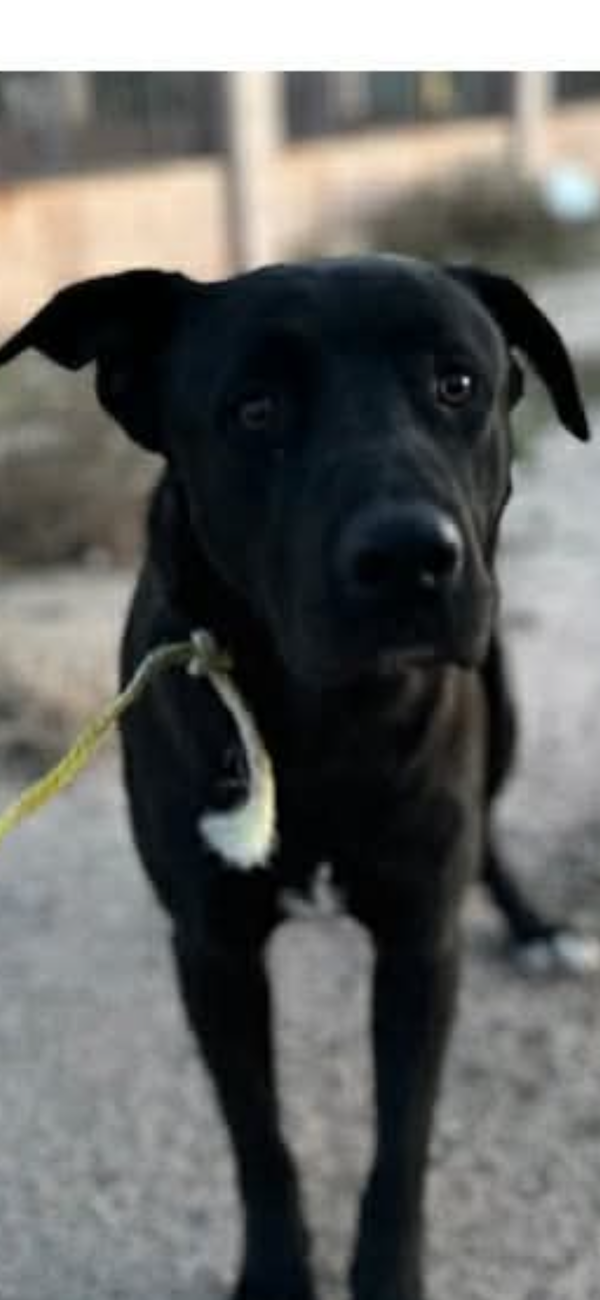 Atlas