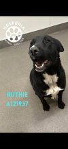 Ruthie - Photo 2