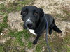 Ruthie - Photo 3