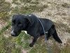 Ruthie - Photo 4