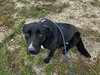 Ruthie - Photo 5