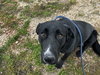Ruthie - Photo 6