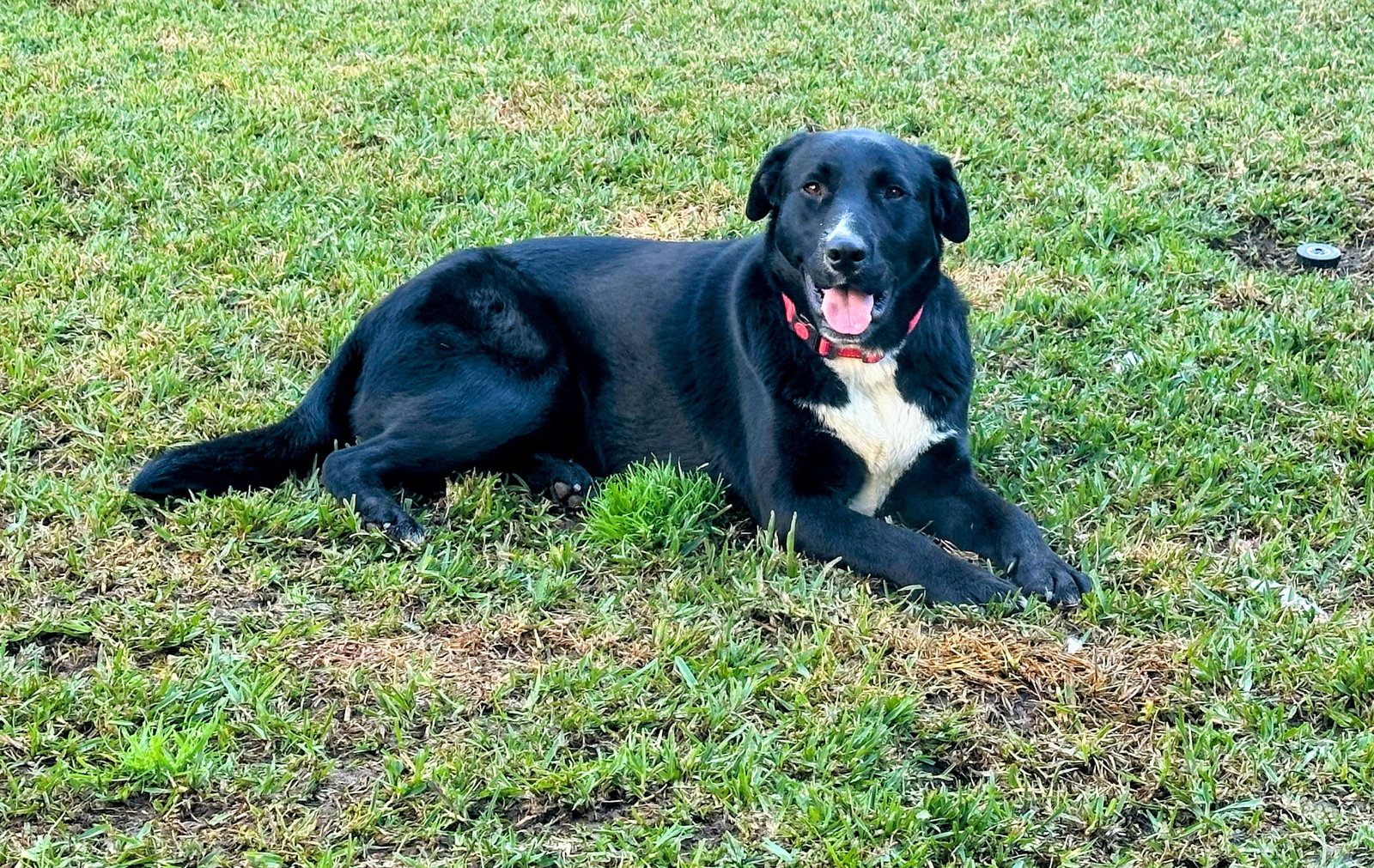 Ruthie Image