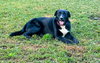 Ruthie - Photo 1